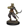 Picture of Tabaxi Rogue Male D&D Icons of the Realms Premium Figures (W4)
