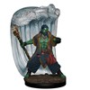 Picture of Water Genasi Druid Male D&D Icons of the Realms Premium Figures (W4)