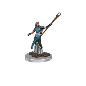 Picture of D&D Icons of the Realms Premium Figures (W7) Female Elf Sorcerer