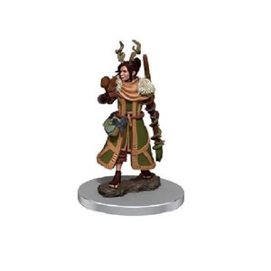 Picture of D&D Icons of the Realms Premium Figures (W7) Female Human Druid