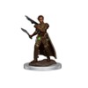 Picture of D&D Icons of the Realms Premium Figures (W7) Female Shifter Rogue