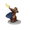 Picture of D&D Icons of the Realms Premium Figures (W7) Female Dwarf Wizard