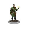Picture of D&D Icons of the Realms Premium Figures (W7) Male Half-Elf Bard