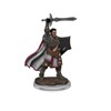 Picture of D&D Icons of the Realms Premium Figures (W7) Male Human Paladin