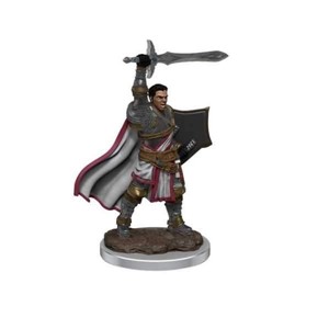 Picture of D&D Icons of the Realms Premium Figures (W7) Male Human Paladin