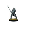 Picture of D&D Icons of the Realms Premium Figures (W7) Male Human Fighter